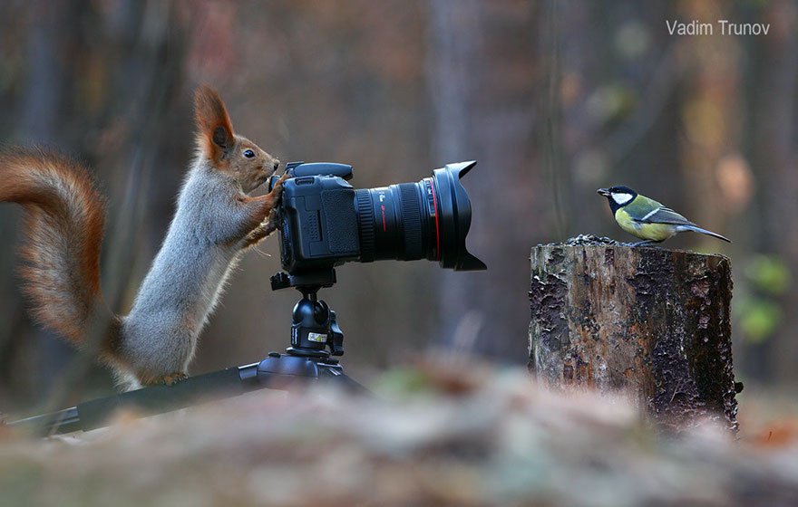 Vadim Trunov