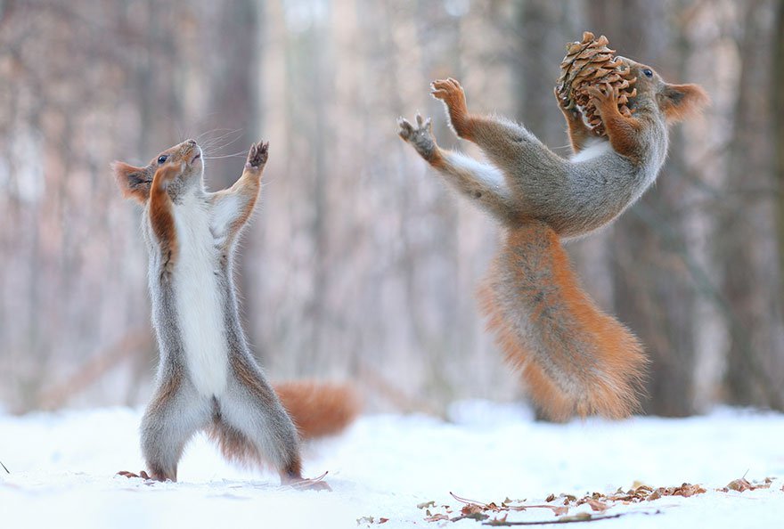Vadim Trunov