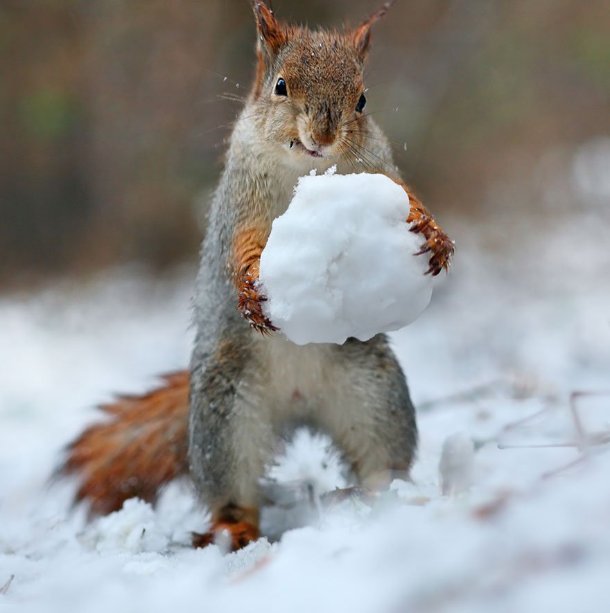 Vadim Trunov