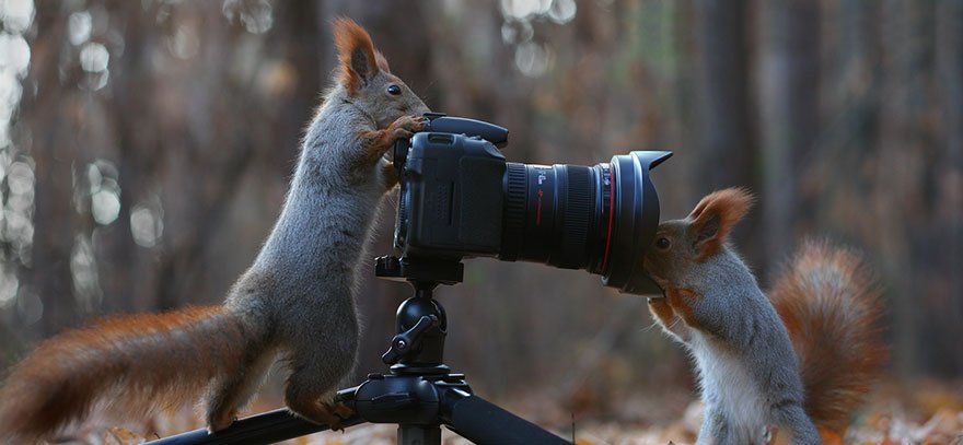 Vadim Trunov