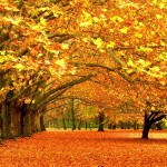 autumn-fall