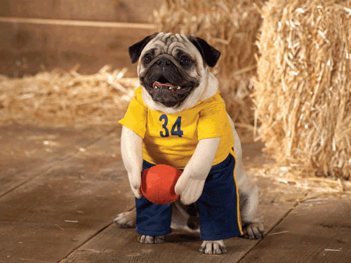 basketball costume