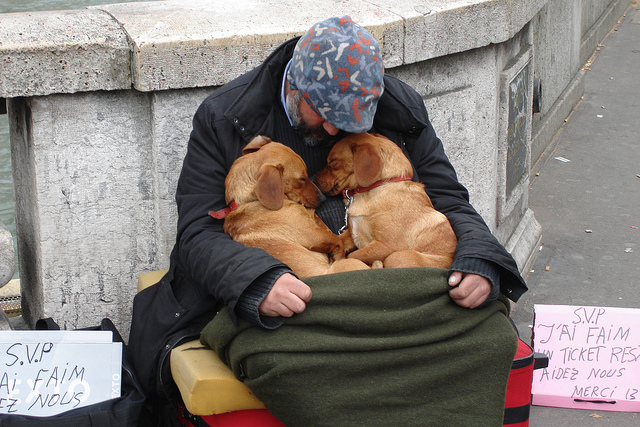 Unconditional love of dogs