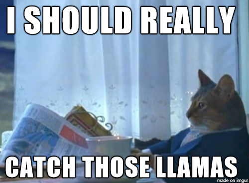 cat-llama