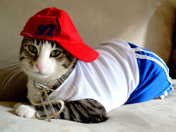 rap cat 