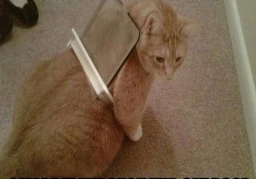 Image Credit: Imgur