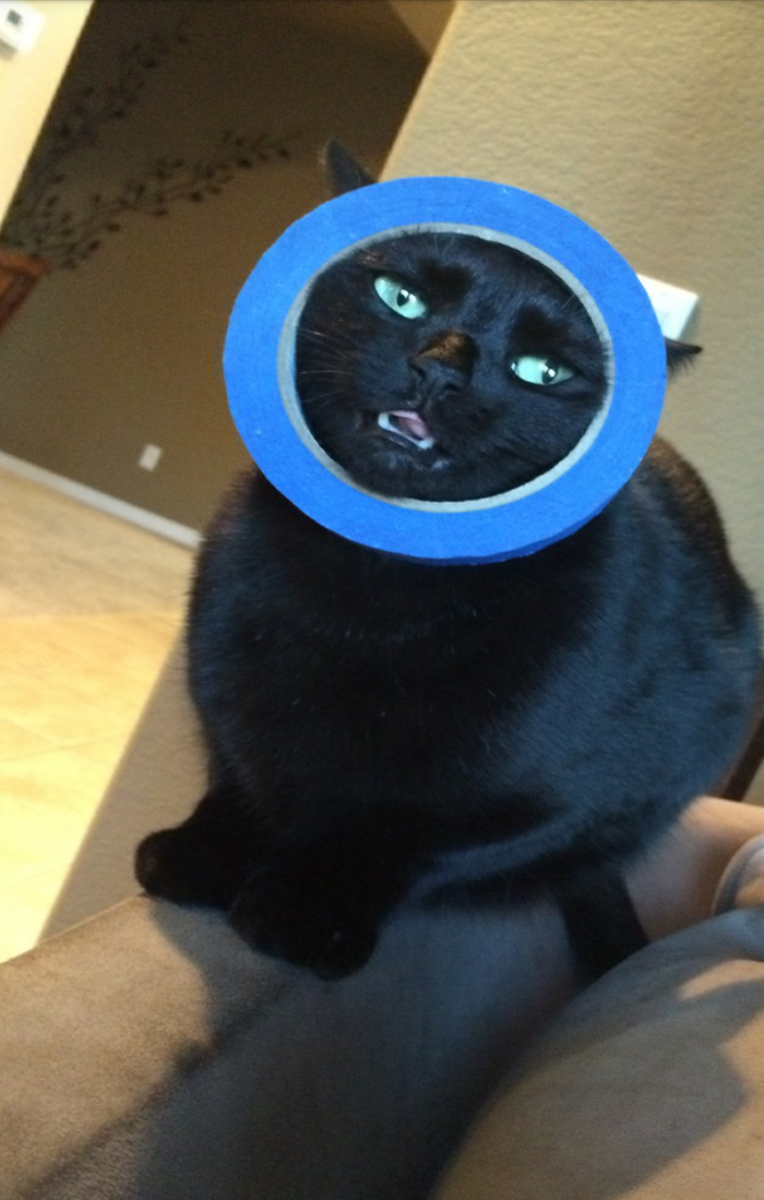 Image Credit: Imgur