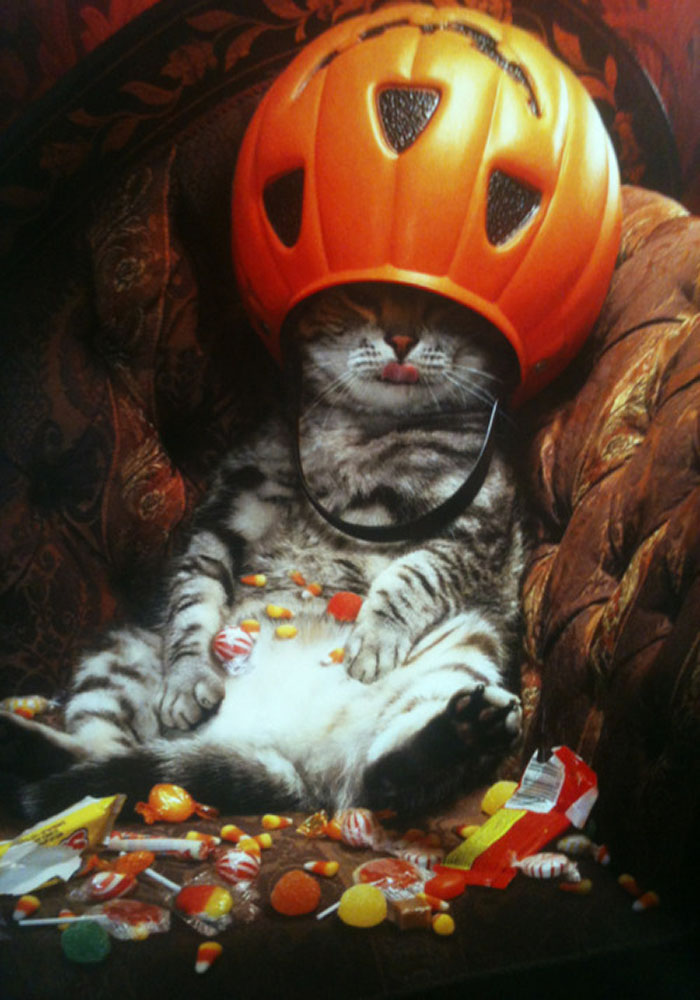 catswithhats