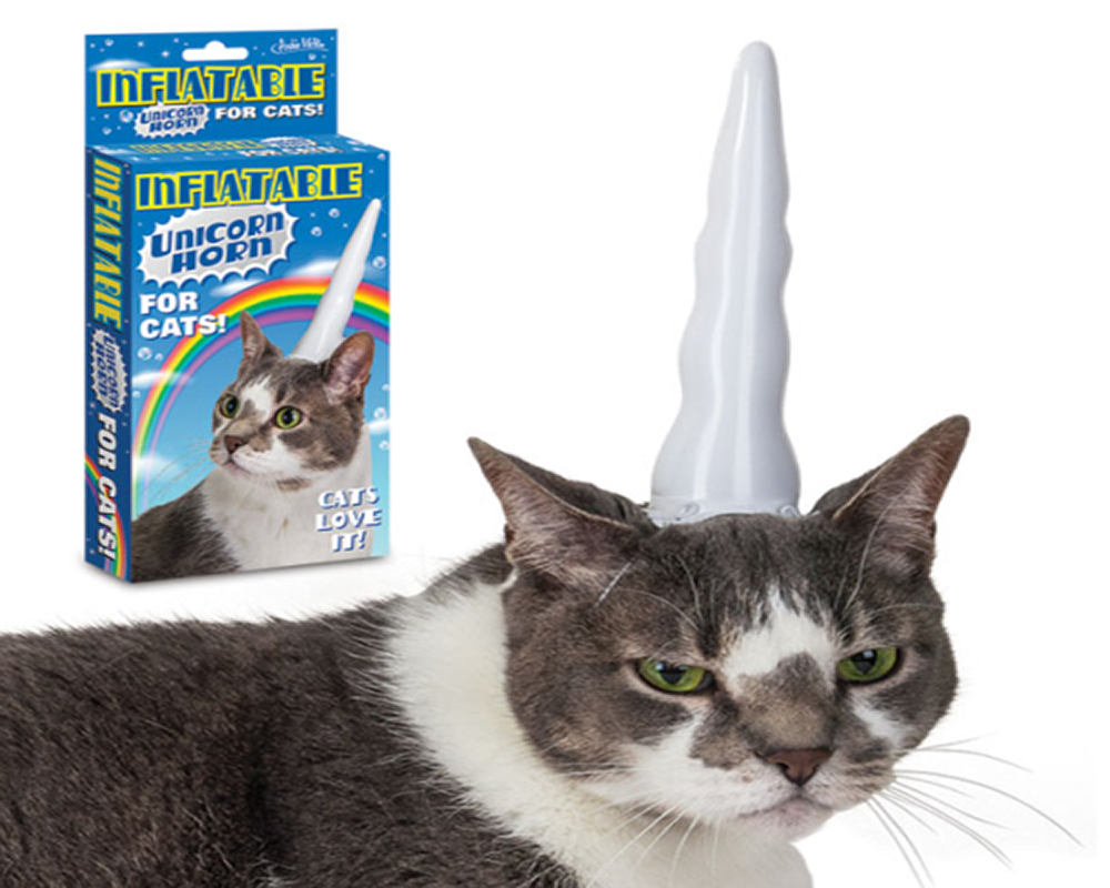 catswithhats