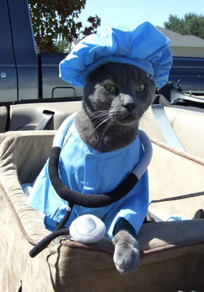 catswithhats