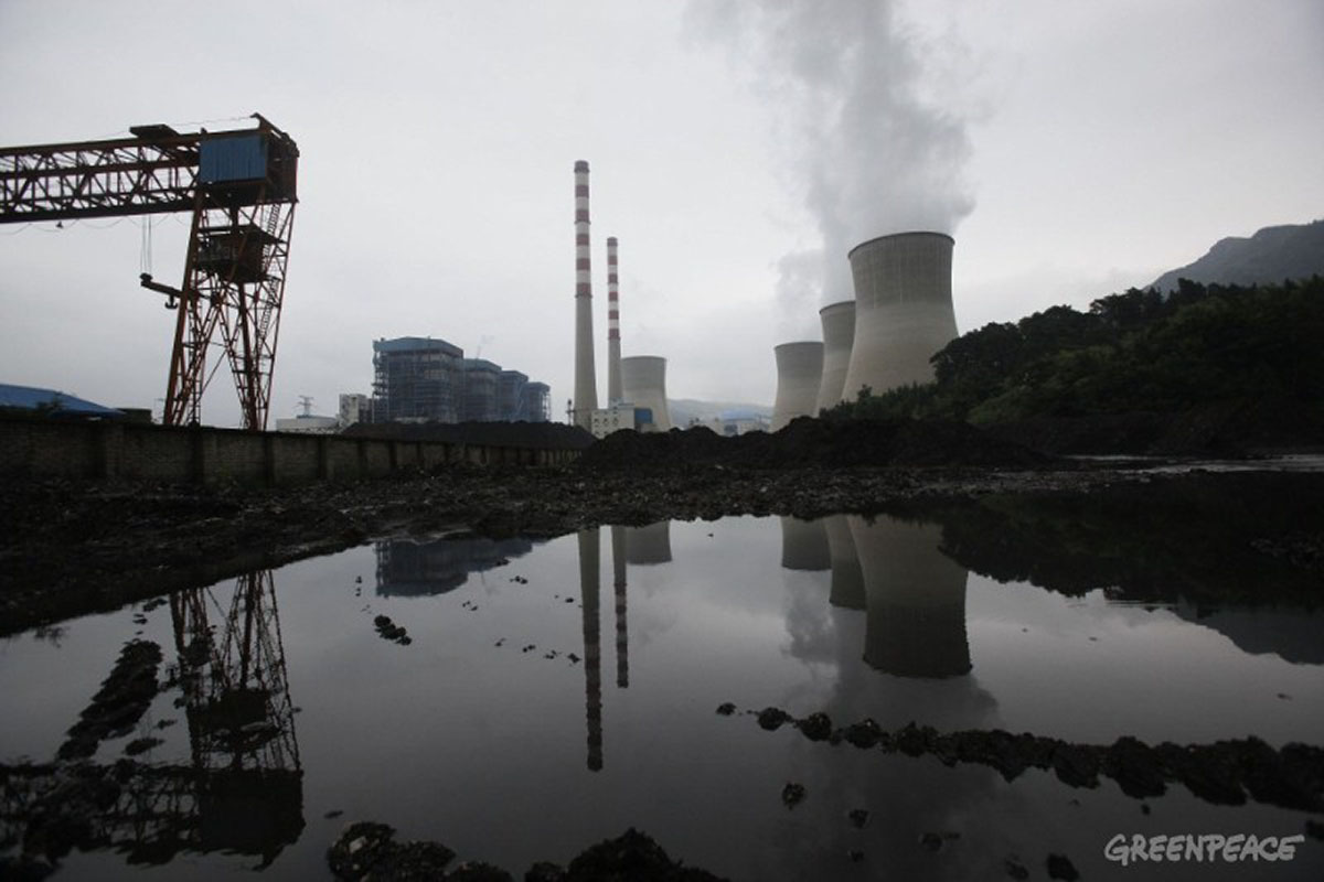 Image Credit: Greenpeace