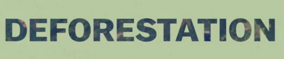 deforestation