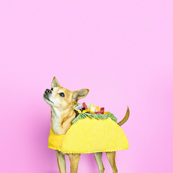 taco costume