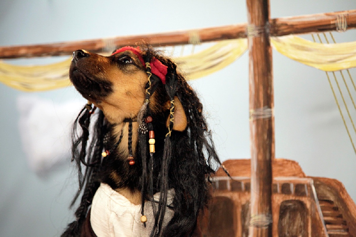 jack sparrow 