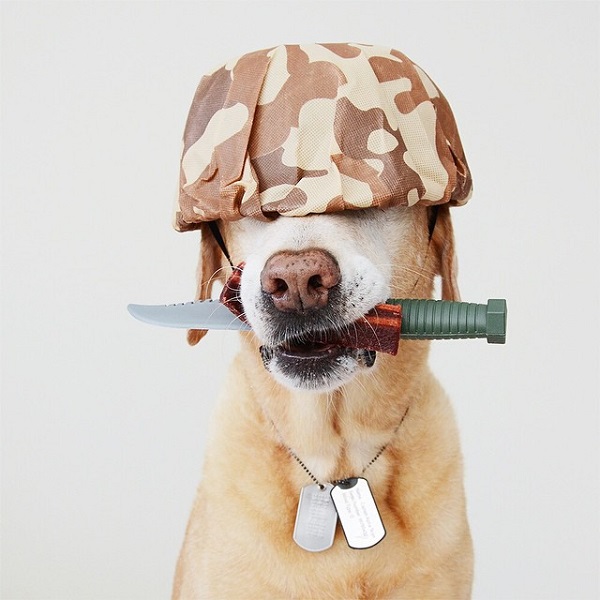 militar costume