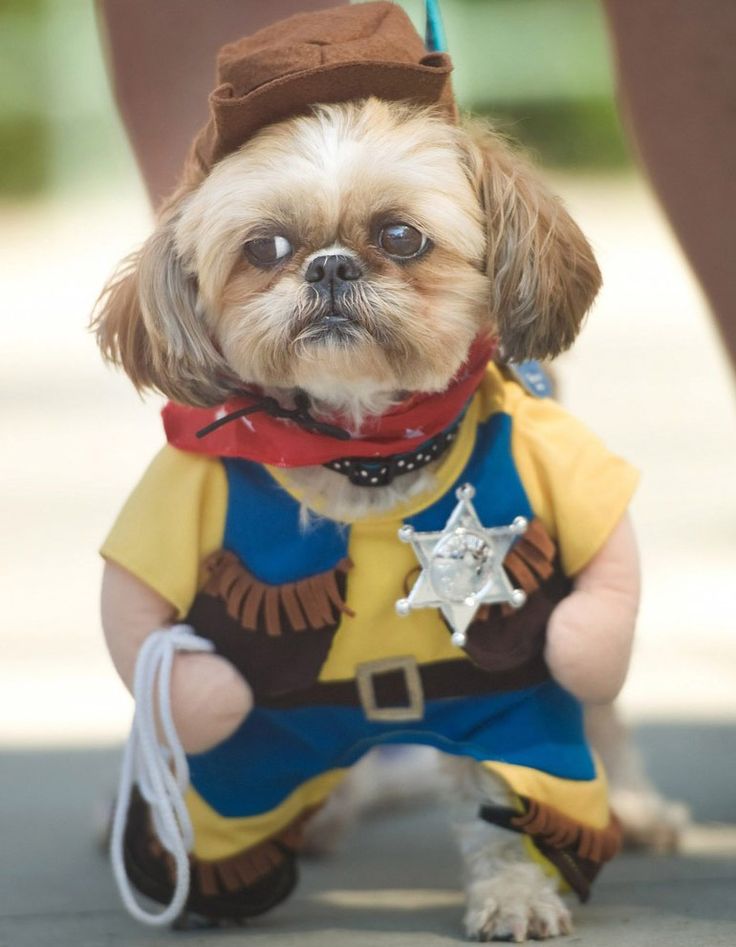 sheriff dog costume
