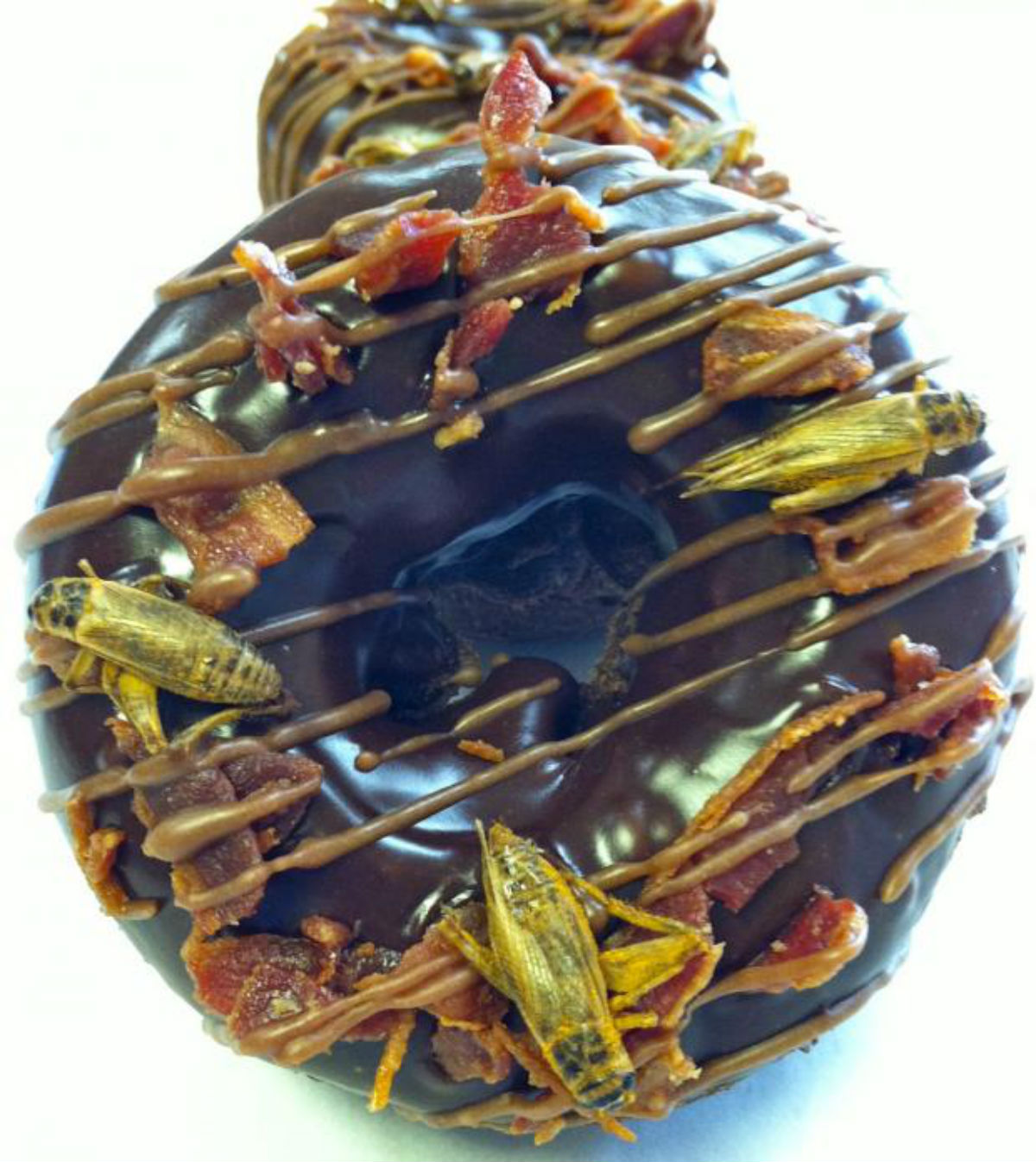 donut 3