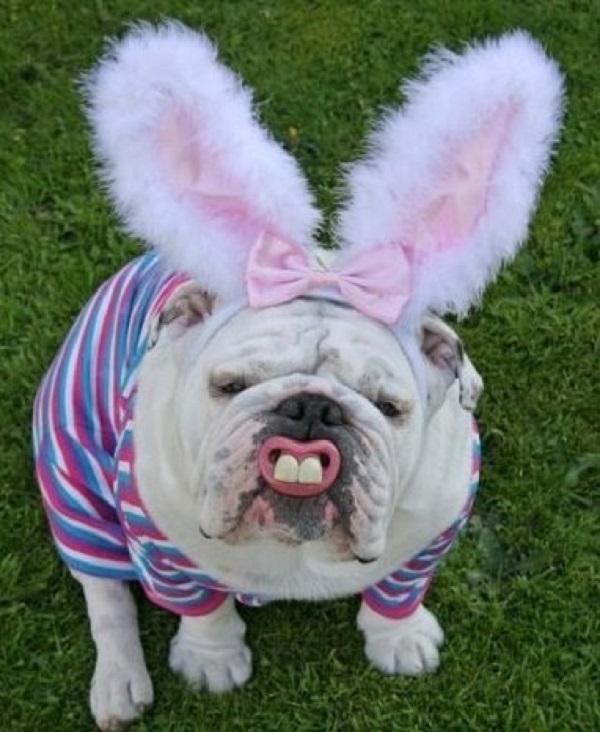 easter costume