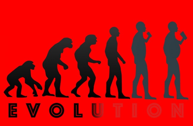 evolution12