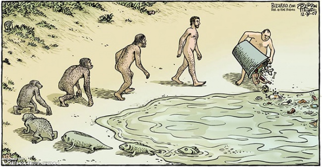 evolution2
