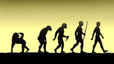 evolution5