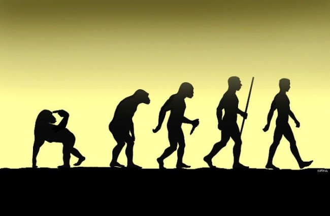 evolution5