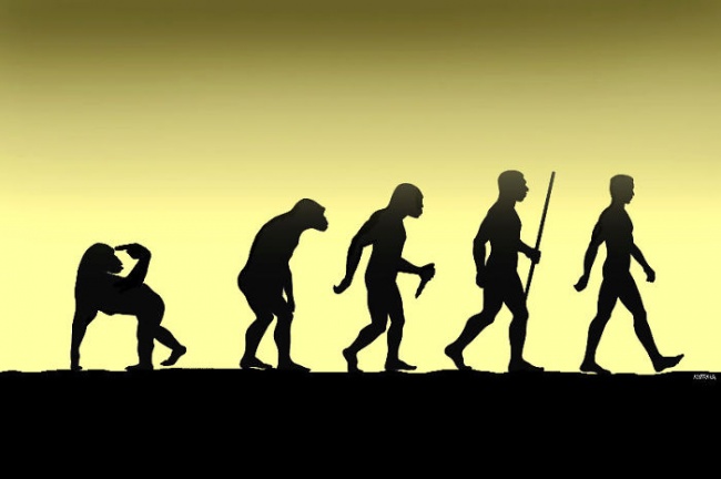 evolution5