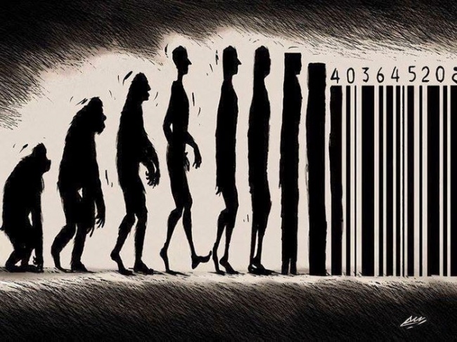 evolution7