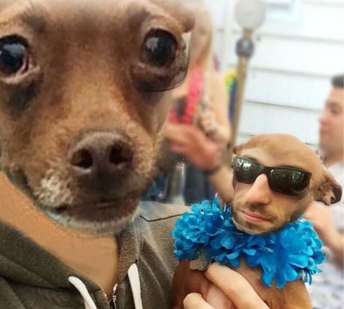 face swap 4