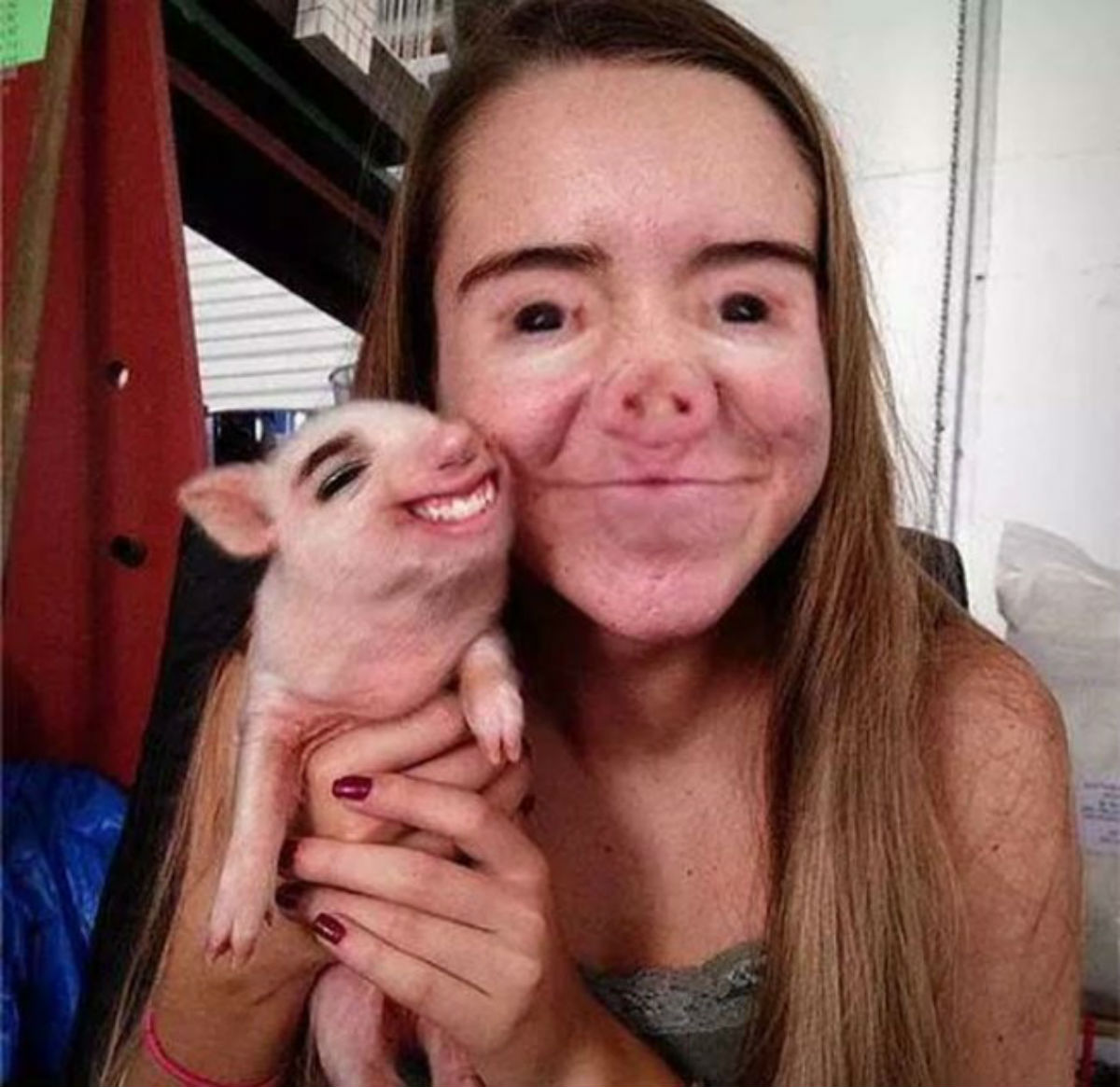 face swap 8