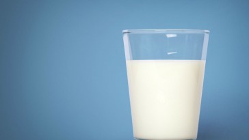 food 6