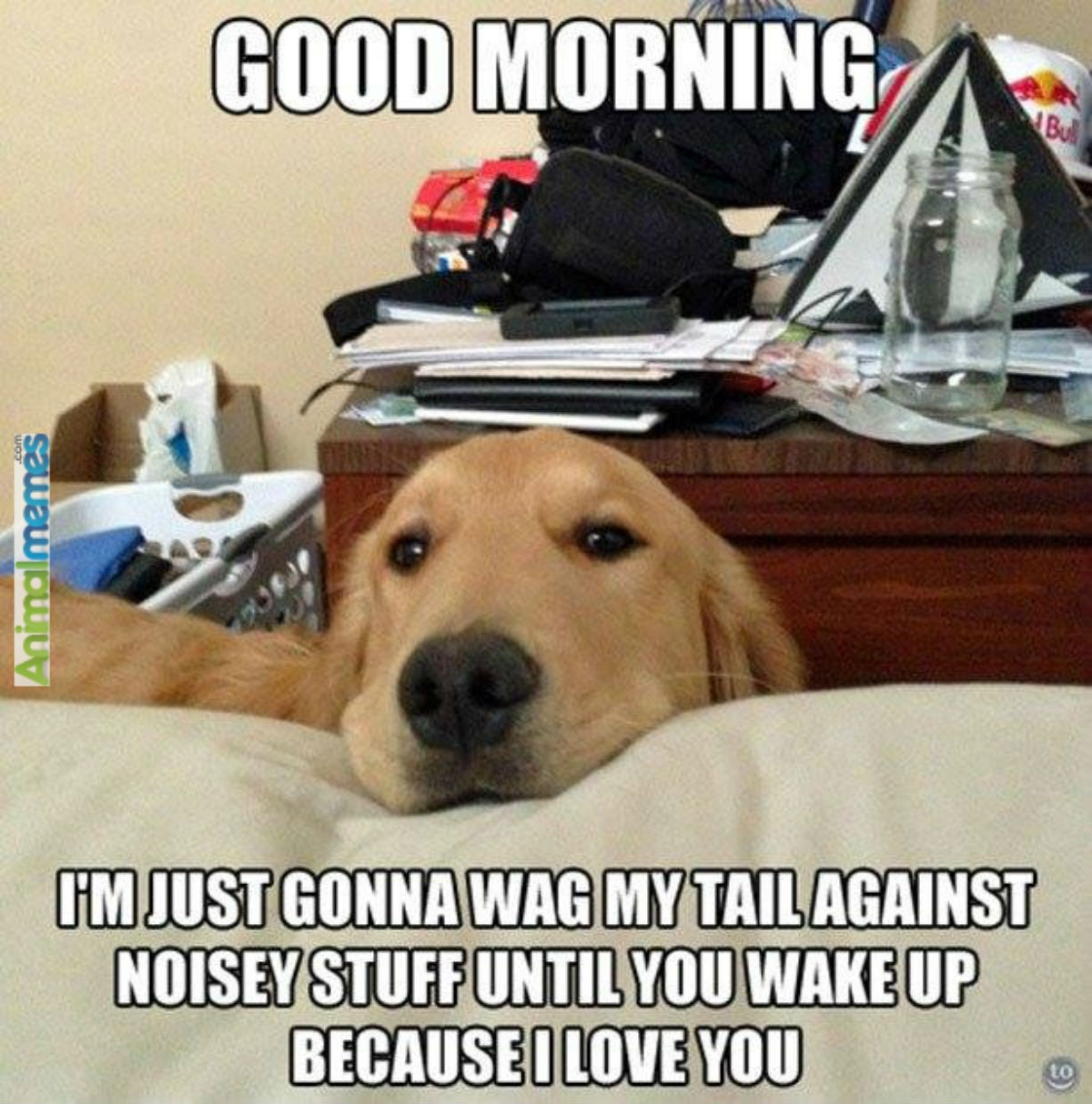 good-morning-meme-13