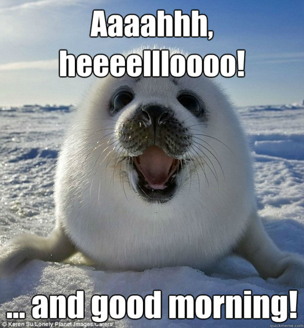 good-morning-meme-18