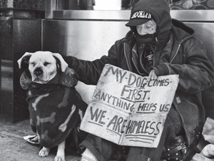 Unconditional love of dogs