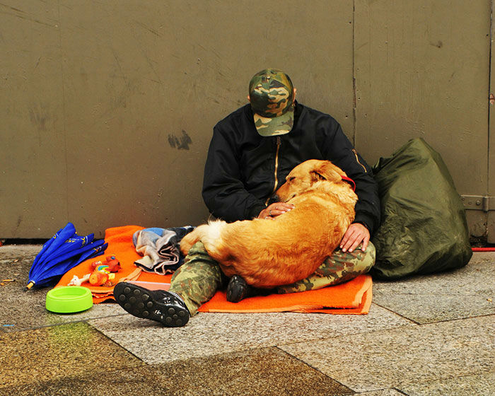 Unconditional love of dogs