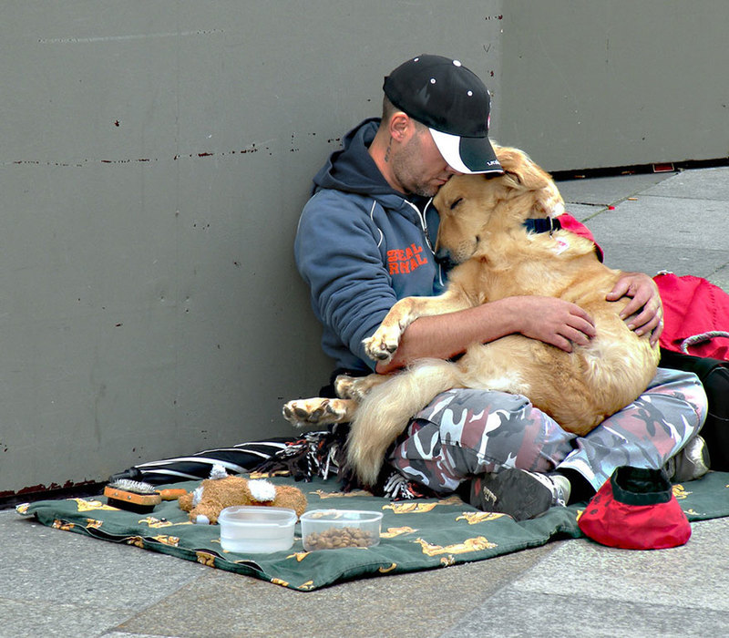 Unconditional love of dogs