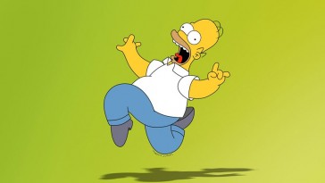 homer-simpson-vox