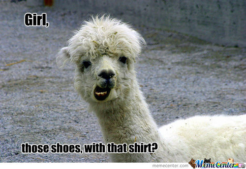 LLAMAS