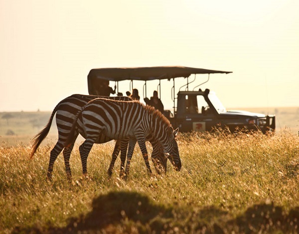 africa