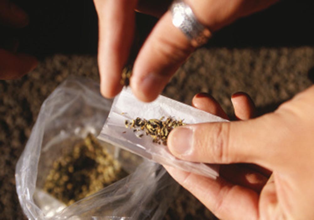Image Credit: weedweekly.com