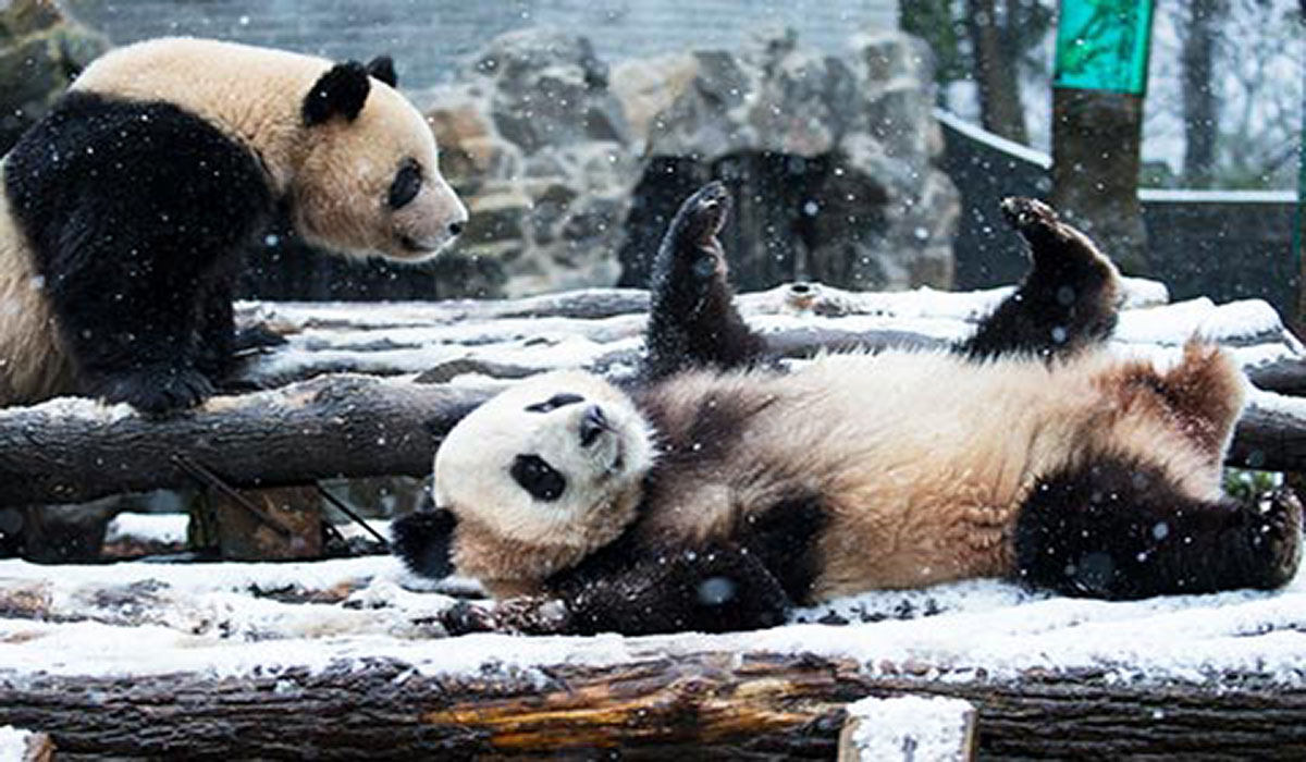 Image Credit :ihinadaily.com.cn
