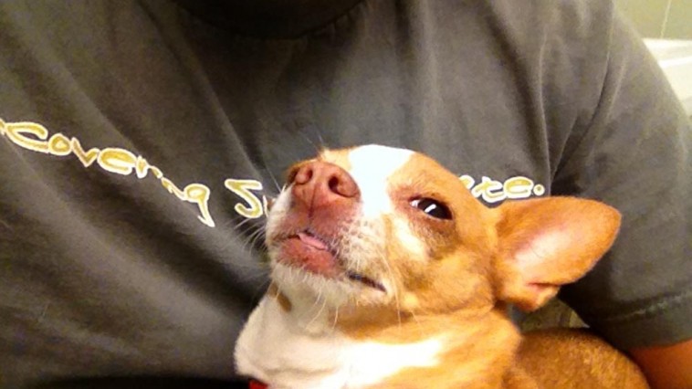 peanut