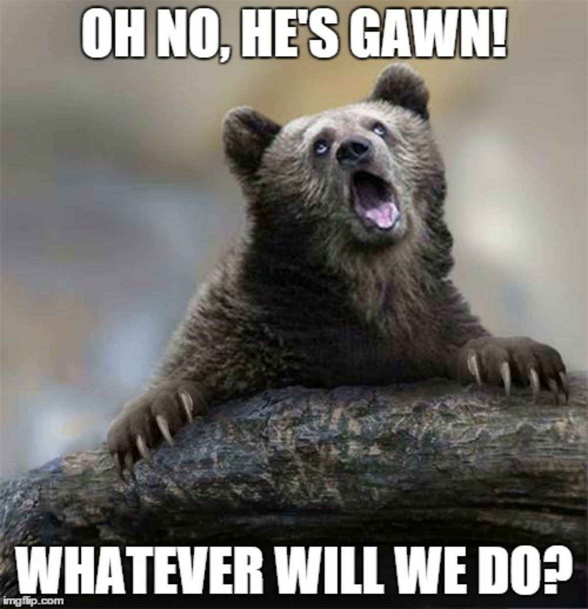 sarcastic-meme-16