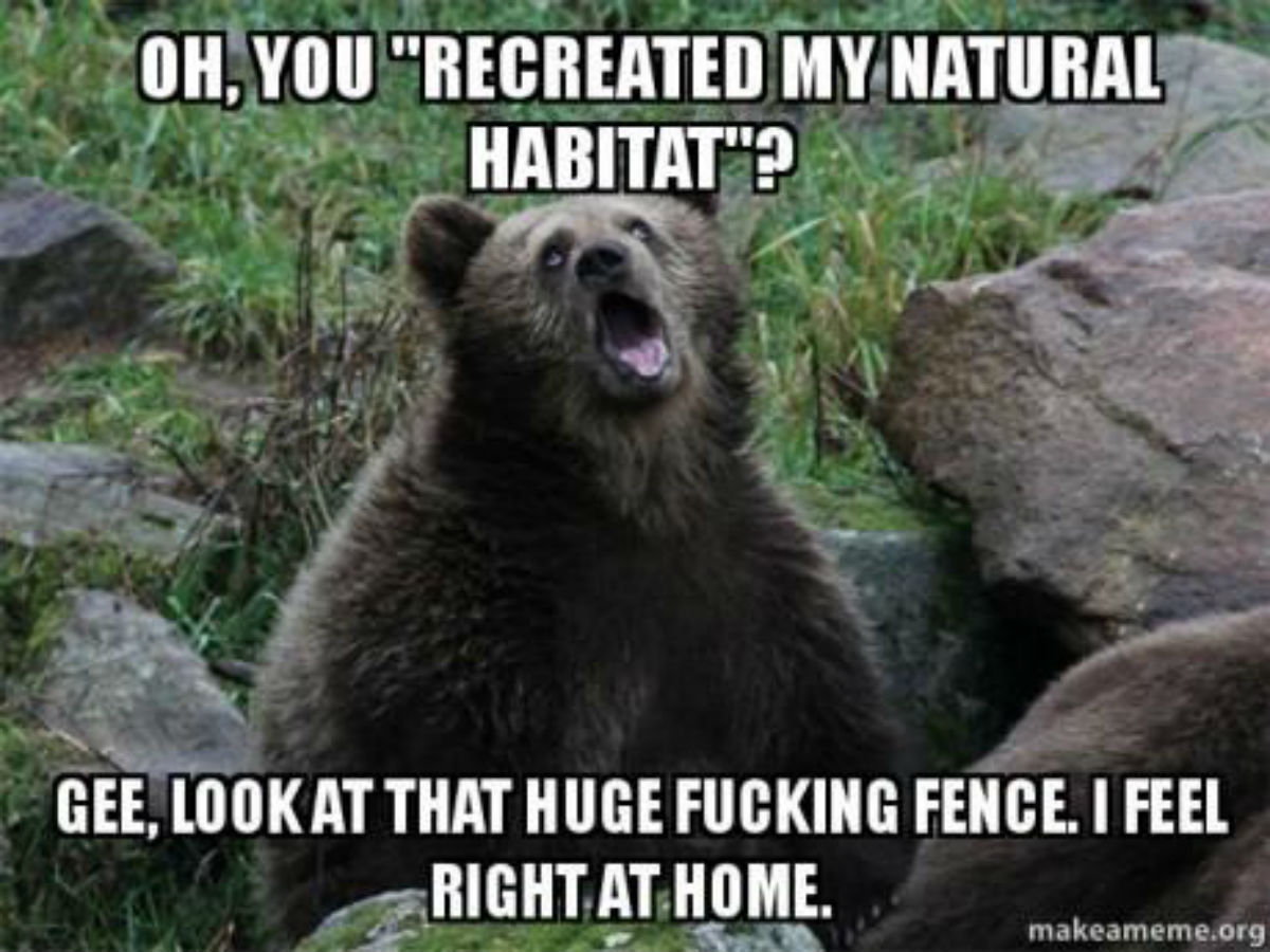 sarcastic-meme-9