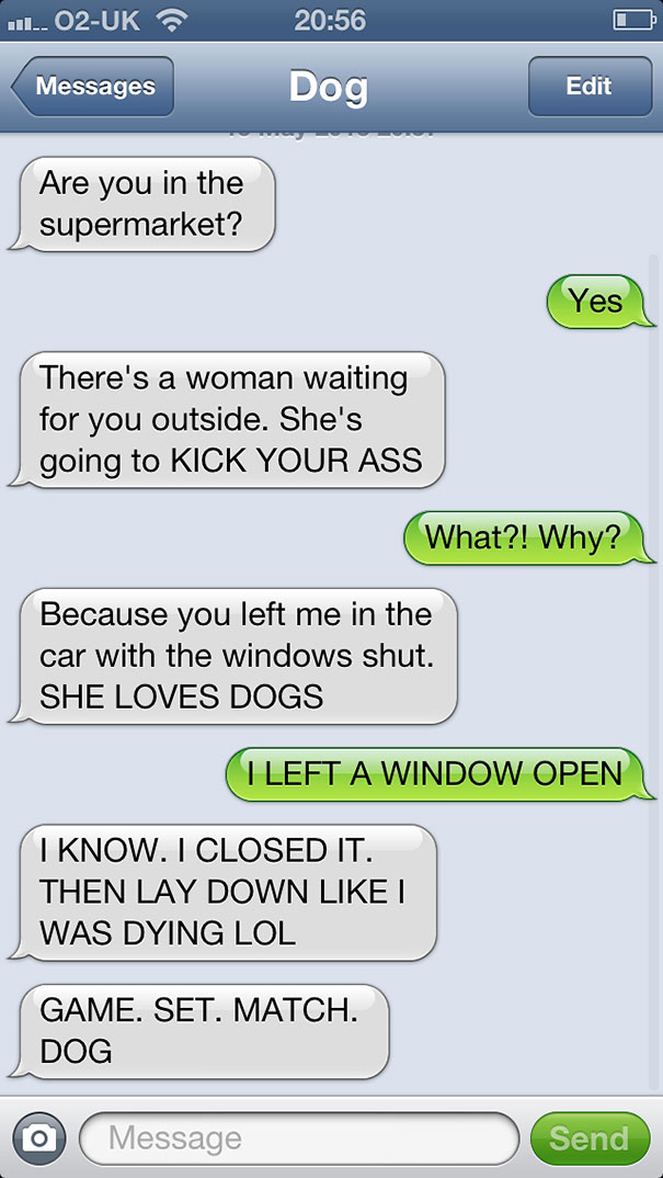 texts-from-dog
