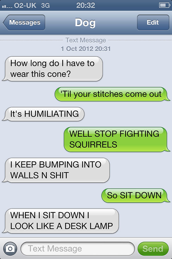 texts-from-dog