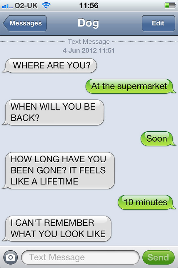 texts-from-dog