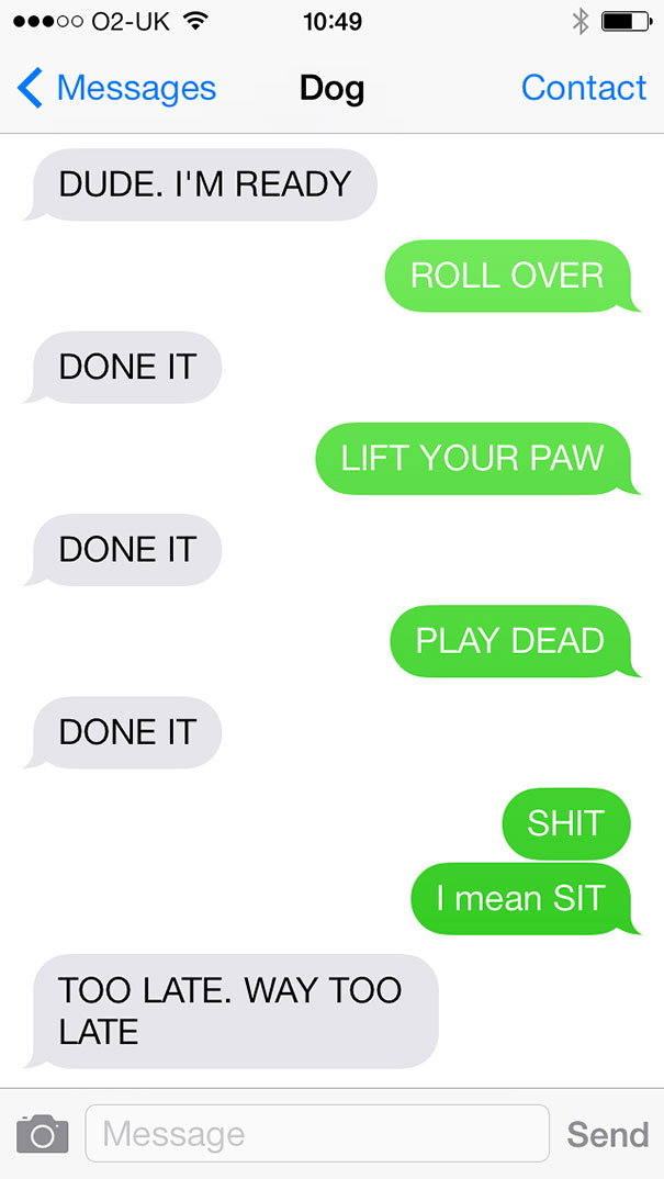 texts-from-dog
