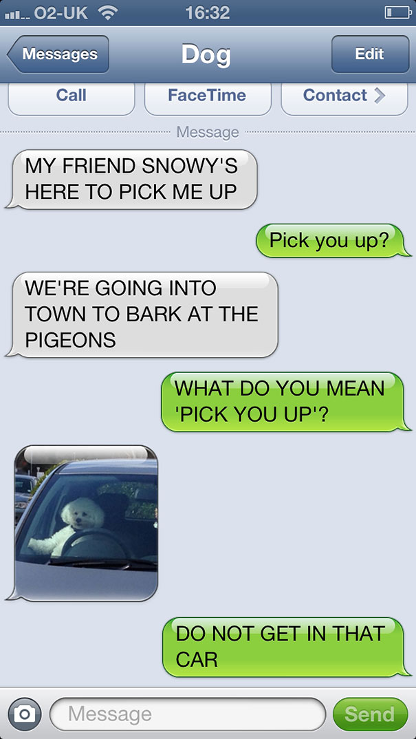 texts-from-dog