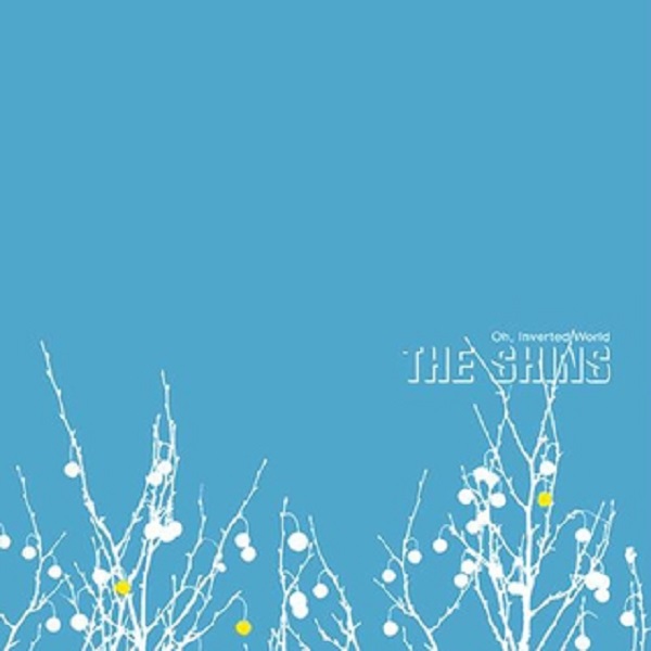 the shins
